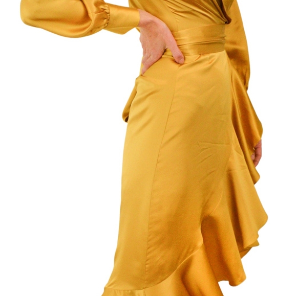 NWT Heros $650 wrap dress - Picture 6 of 6